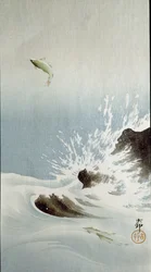 Un poisson sautant hors de l